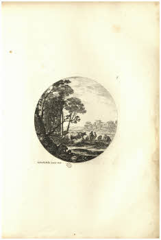 Vol.%20Z%20132%2C%20tav.%207